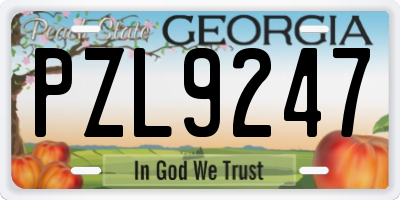 GA license plate PZL9247