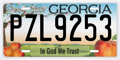 GA license plate PZL9253
