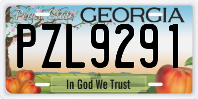 GA license plate PZL9291
