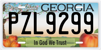 GA license plate PZL9299