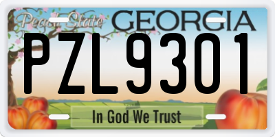 GA license plate PZL9301