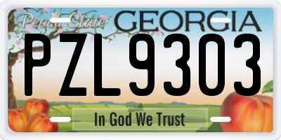GA license plate PZL9303