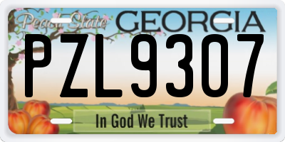 GA license plate PZL9307