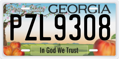 GA license plate PZL9308