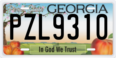 GA license plate PZL9310