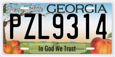 GA license plate PZL9314