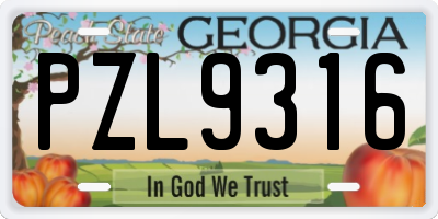 GA license plate PZL9316