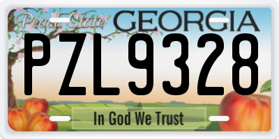 GA license plate PZL9328