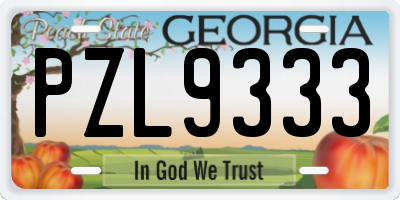 GA license plate PZL9333