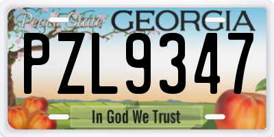 GA license plate PZL9347