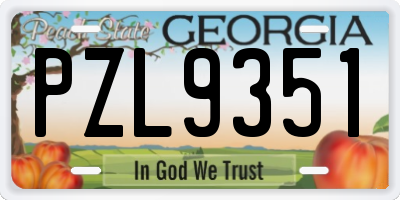 GA license plate PZL9351