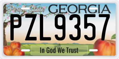 GA license plate PZL9357