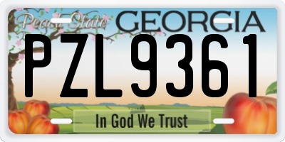 GA license plate PZL9361