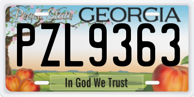 GA license plate PZL9363