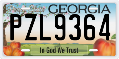 GA license plate PZL9364