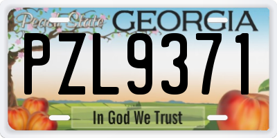 GA license plate PZL9371