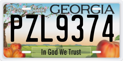 GA license plate PZL9374