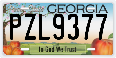 GA license plate PZL9377