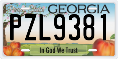 GA license plate PZL9381