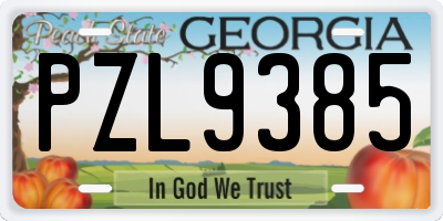 GA license plate PZL9385