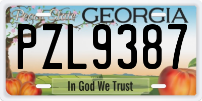 GA license plate PZL9387