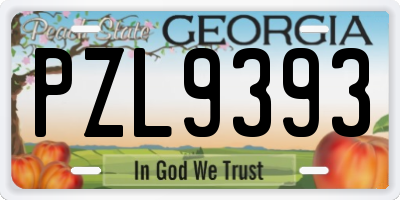 GA license plate PZL9393