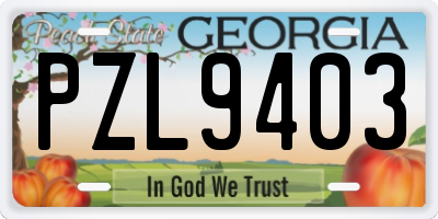 GA license plate PZL9403