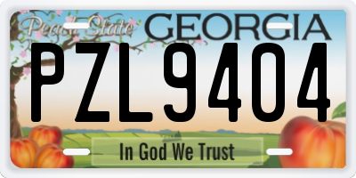 GA license plate PZL9404