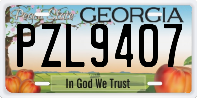 GA license plate PZL9407