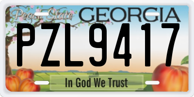 GA license plate PZL9417