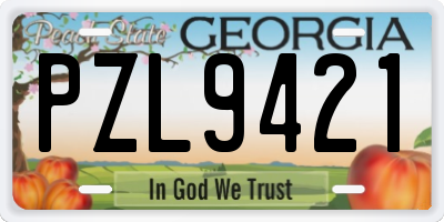 GA license plate PZL9421