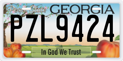 GA license plate PZL9424