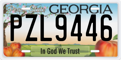 GA license plate PZL9446