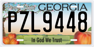 GA license plate PZL9448
