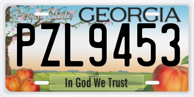 GA license plate PZL9453