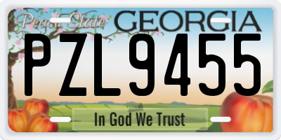 GA license plate PZL9455