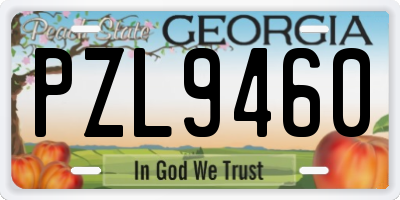GA license plate PZL9460
