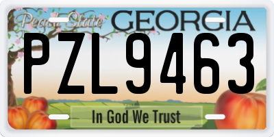 GA license plate PZL9463