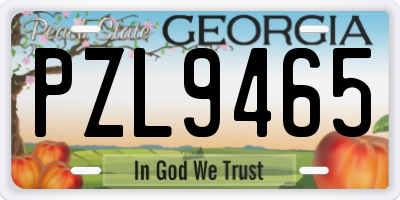 GA license plate PZL9465