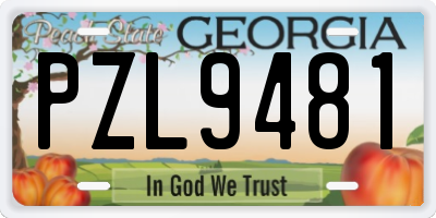 GA license plate PZL9481