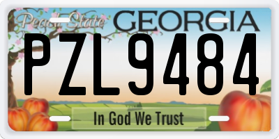 GA license plate PZL9484