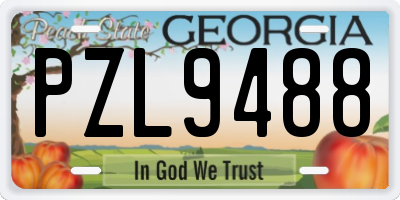 GA license plate PZL9488