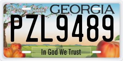 GA license plate PZL9489