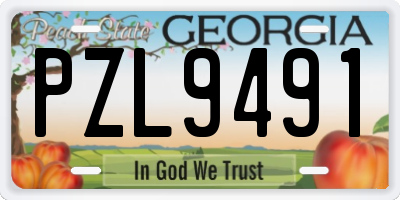GA license plate PZL9491