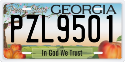 GA license plate PZL9501