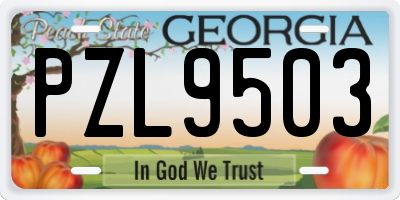 GA license plate PZL9503