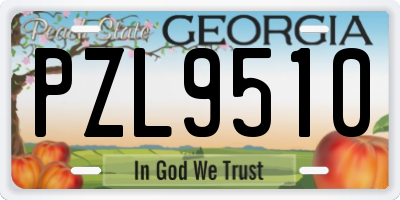 GA license plate PZL9510