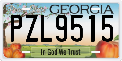 GA license plate PZL9515