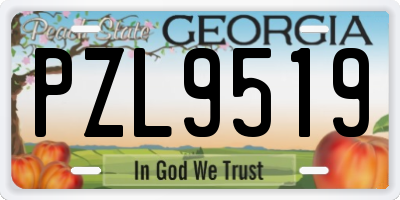 GA license plate PZL9519