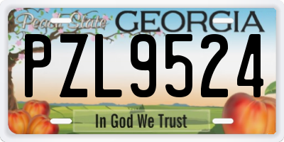 GA license plate PZL9524